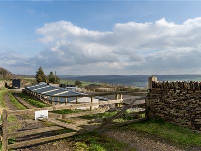 Equestrian Facilities